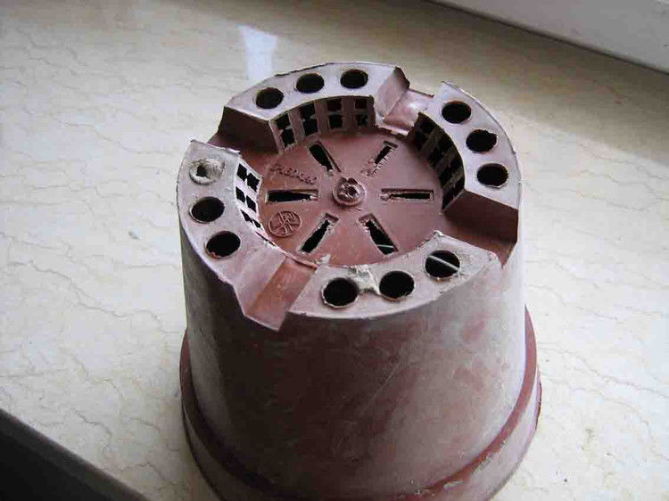 养花、养草、盆栽基础知识 - 美体、情感、博文精品 - 美体情感、心灵驿站