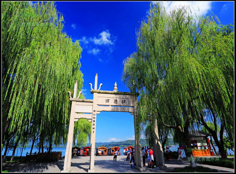 杭州湾风光 - 飞春 - 飞春博客