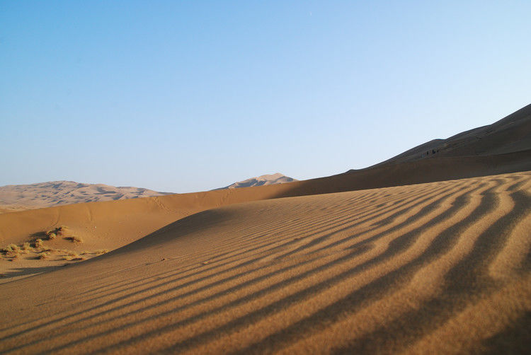 鄯善 - JOJO - JOJO带你游世界