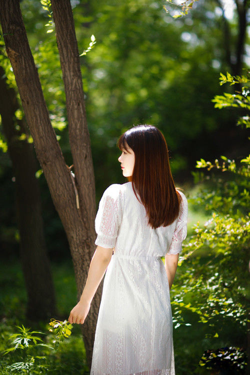 时光里的回眸【情感美文】 - 白石秋水 - 白石秋水