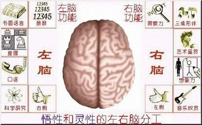 激活孩子右脑的理由和方法策略 - 婉约清茶 - 婉约清茶的博客