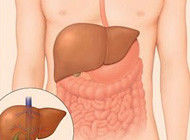 太重要了！请你一定要看！ - 李木子 - 李木子