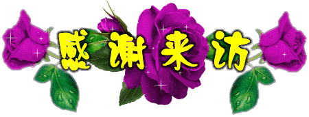 献给正在看我空间的你 - 纳兰容若 - 纳兰容若