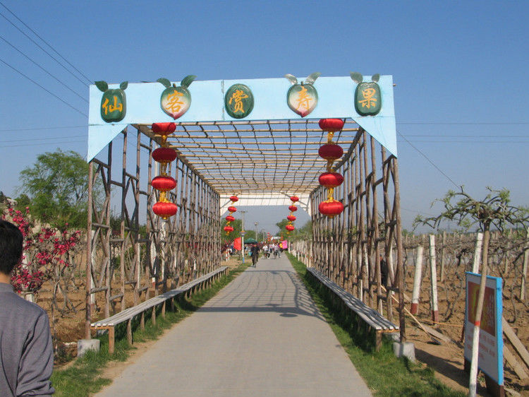 全国仅存的人民公社 无一人外出打工【图】 - 美体、情感、博文精品 - 美体情感、心灵驿站