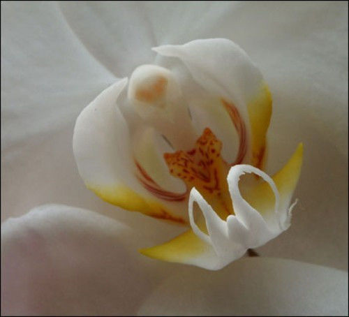 搞定相机里最有用的设置，出好照片不再难【图】 - 云鹏润峰 - 云鹏潤峰