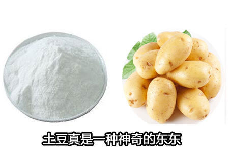 土豆淀粉治湿疹超级好用！ - 秋白 - 黑色物语