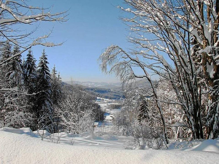 写给七十岁时的自己 - 老教授 - 老教授