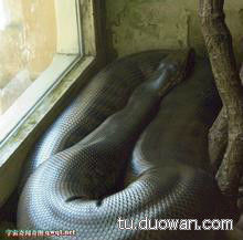 盘点中国神秘事件 至今为止仍然是未解之谜 (13)