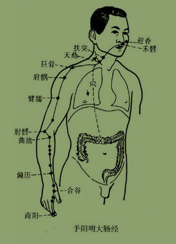 最简“治百病”锻炼方法（共有十节 可供选练） - 逍遥 - 逍遥