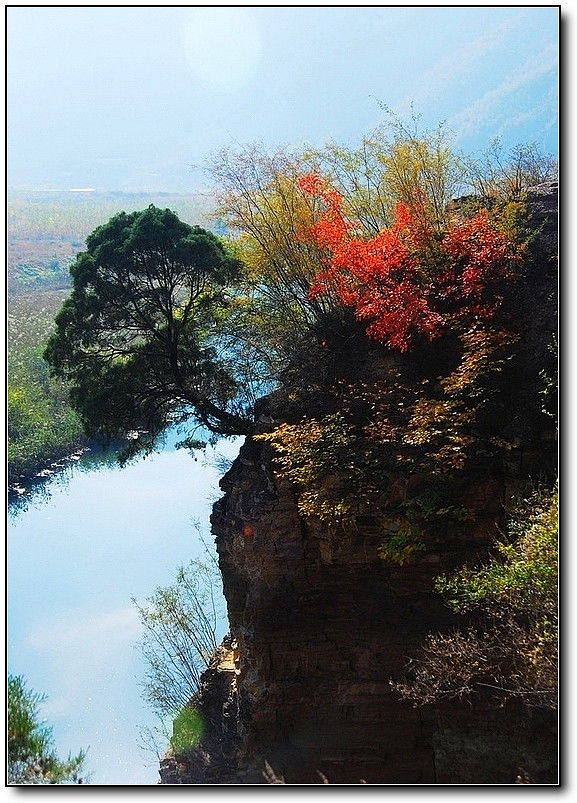 秋旖旎秋色 美不胜收  伊水一方 开心屋