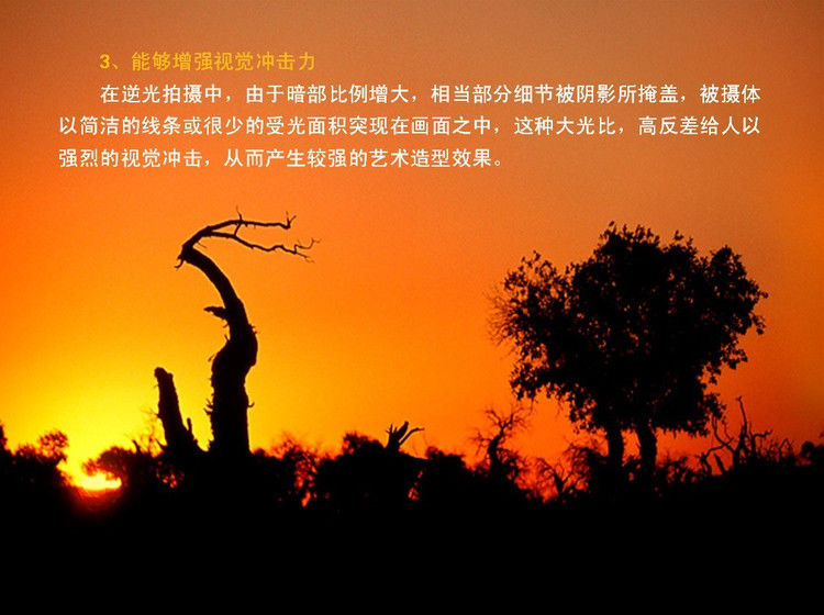 数码摄影入门讲座——摄影用光 - 遨游 - 遨游的博客