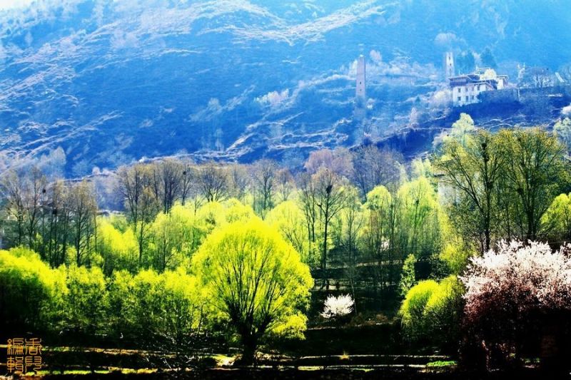 点击打开组图详情