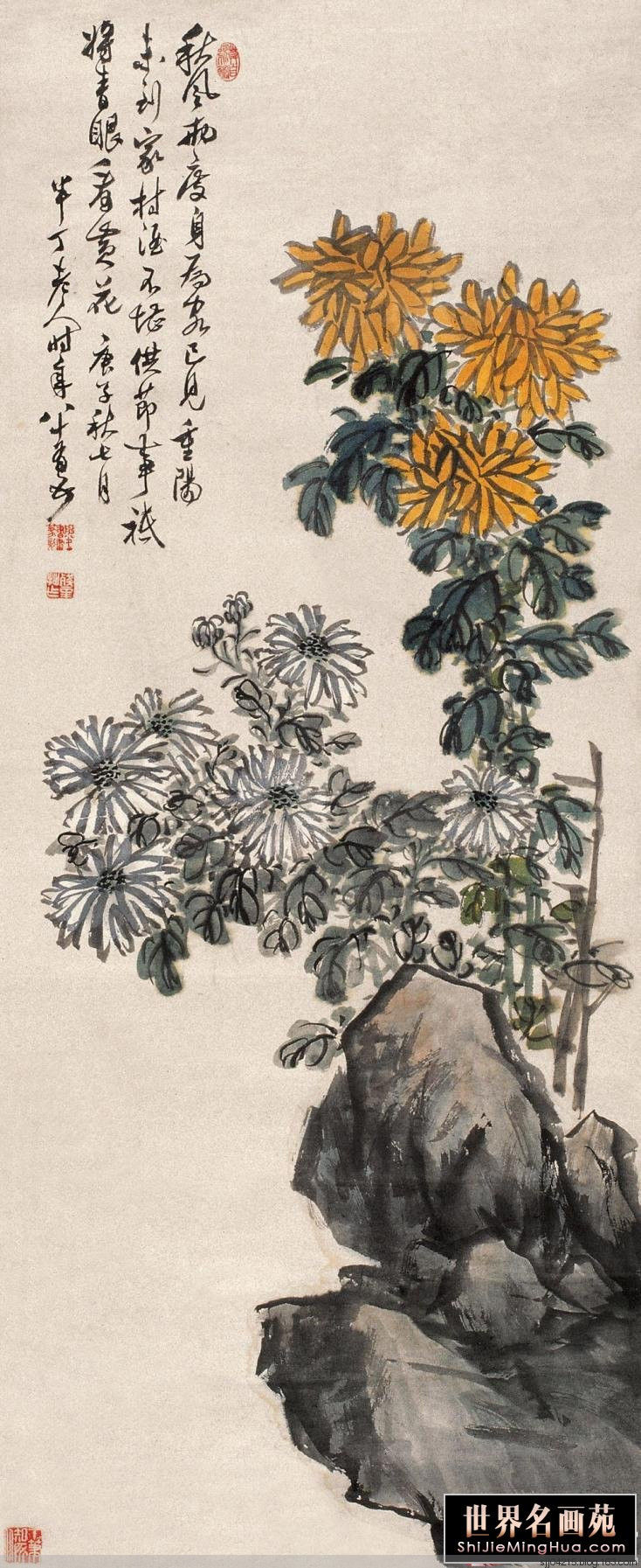 陈半丁 菊花作品精选集（3） - 云破月来花弄影 - 云破月来花弄影