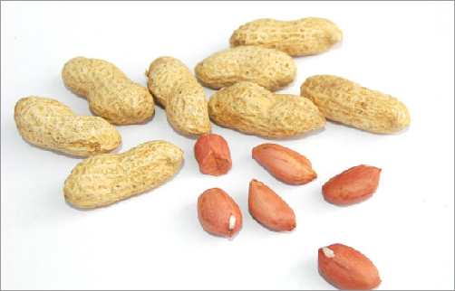 营养又保健的七种“第一”食材 - 瀛子 - 瀛の小笺