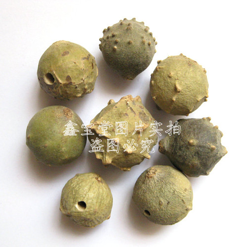 百法解百病 - 缘水禅心 - 