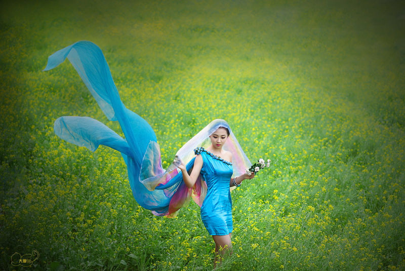 《春姑娘》【油菜花仙子】 - 魅影沉香 - .