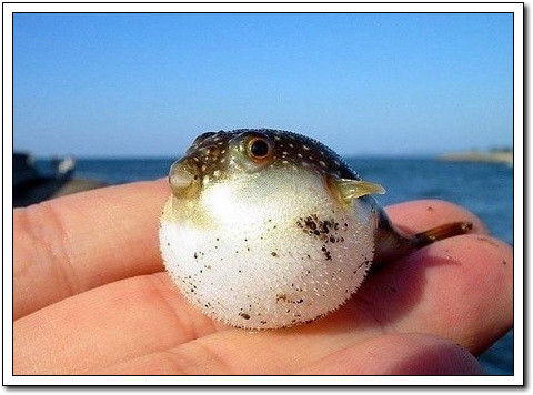 周末要轻松！【幽默图片50P】 - 無為居士 - 聚美齋