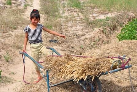 有图有震撼，中国的贫富差距到底有多大