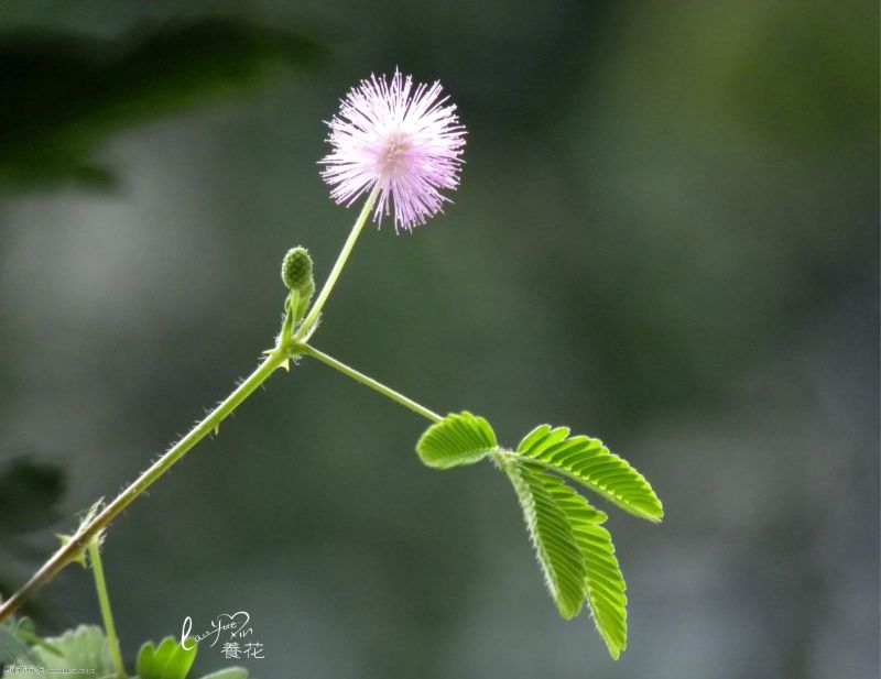 Photoshop通过黑场命令制作超酷的光影效果,PS教程,思缘教程网