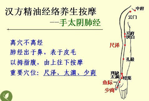 五行经络图加实作，值得收藏！ - 吝色鬼 - 吝色鬼 的博客