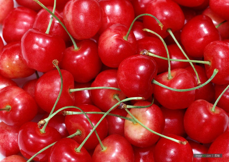 终于知道什么才是当季水果？瞬间长见识！ - 云鹏润峰 - 云鹏潤峰的博客