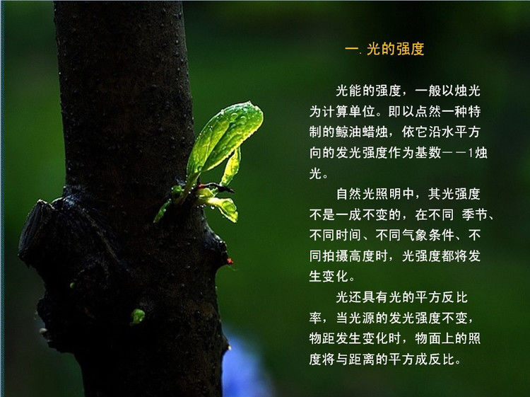 数码摄影入门讲座——摄影用光 - 遨游 - 遨游的博客