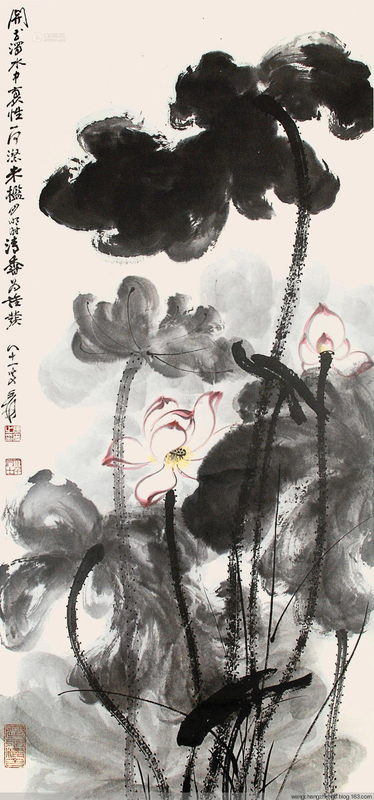 张大千 荷花作品欣赏 - wangchangzhengb - wangchangzhengb的博客