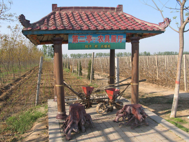 全国仅存的人民公社 无一人外出打工【图】 - 美体、情感、博文精品 - 美体情感、心灵驿站