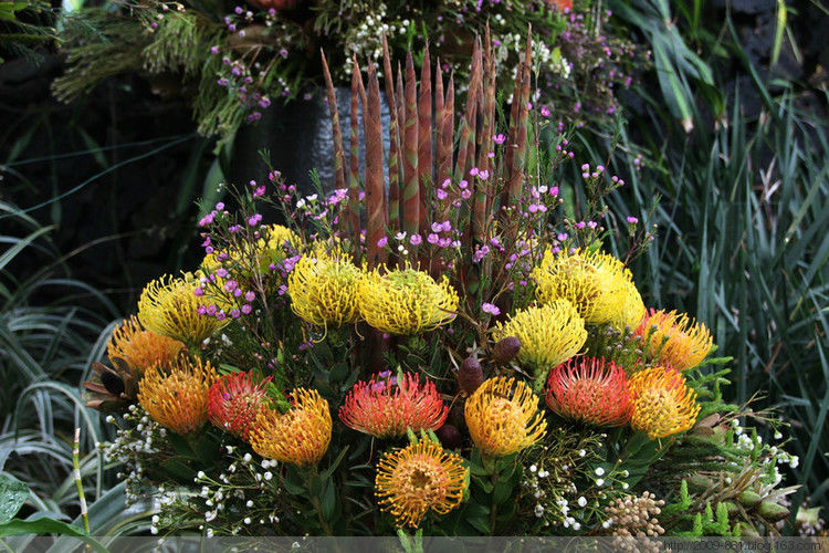 两性人体知识大全！不可不知... - 宝贝梦 - 分享美丽.分享快乐.品味人生