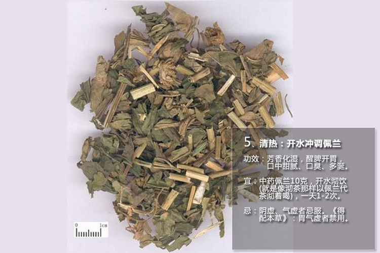 十五种中药最养生 - 锦锦 - 红歌姐姐