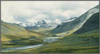 【引用】地球人都该知道的25个世界之最 - 兰花草 - 心香一瓣