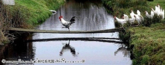 害人俗话 - 红芙蓉 - 红芙蓉的博客