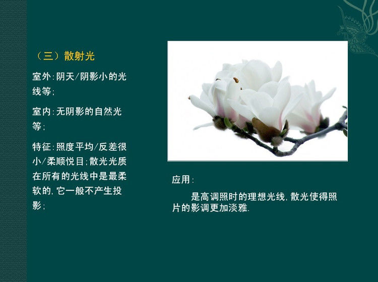 数码摄影入门讲座——摄影用光 - 遨游 - 遨游的博客