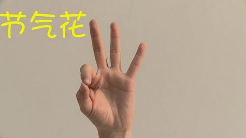 情景剧：动动手指练瑜伽