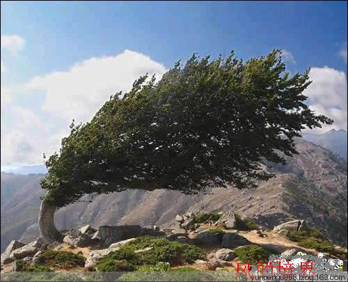 艳遇的最高境界【组图】 - 云鹏润峰 - 云鹏潤峰