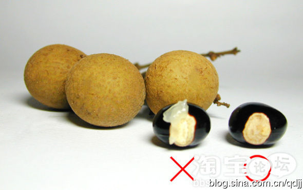吃剩的桂圆核不要扔 花些心思变成小盆栽 - 雪松 - sywy676893 的博客