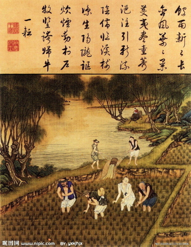 雍正像耕織圖册 - lyaxman - lyaxman的博客