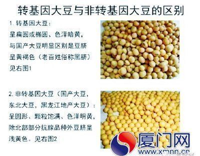 美国正式宣布转基因有毒!