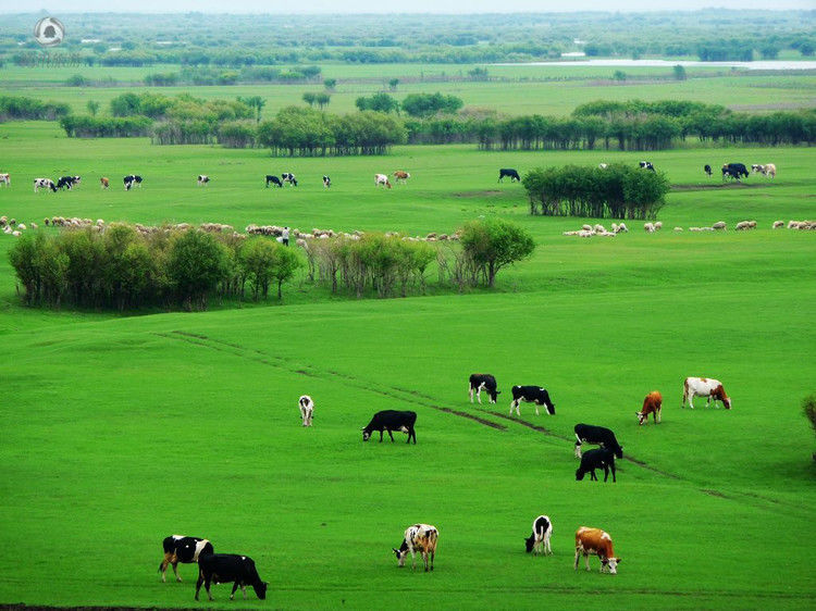 令人心醉的美！不看对不起自己的眼睛！ - 博爱友爱 - 博爱友爱