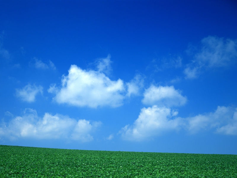 蓝天白云草原 - 雁飞墨行 - 精品博客