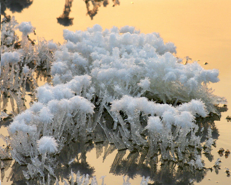 罕见的盐湖硝花 -