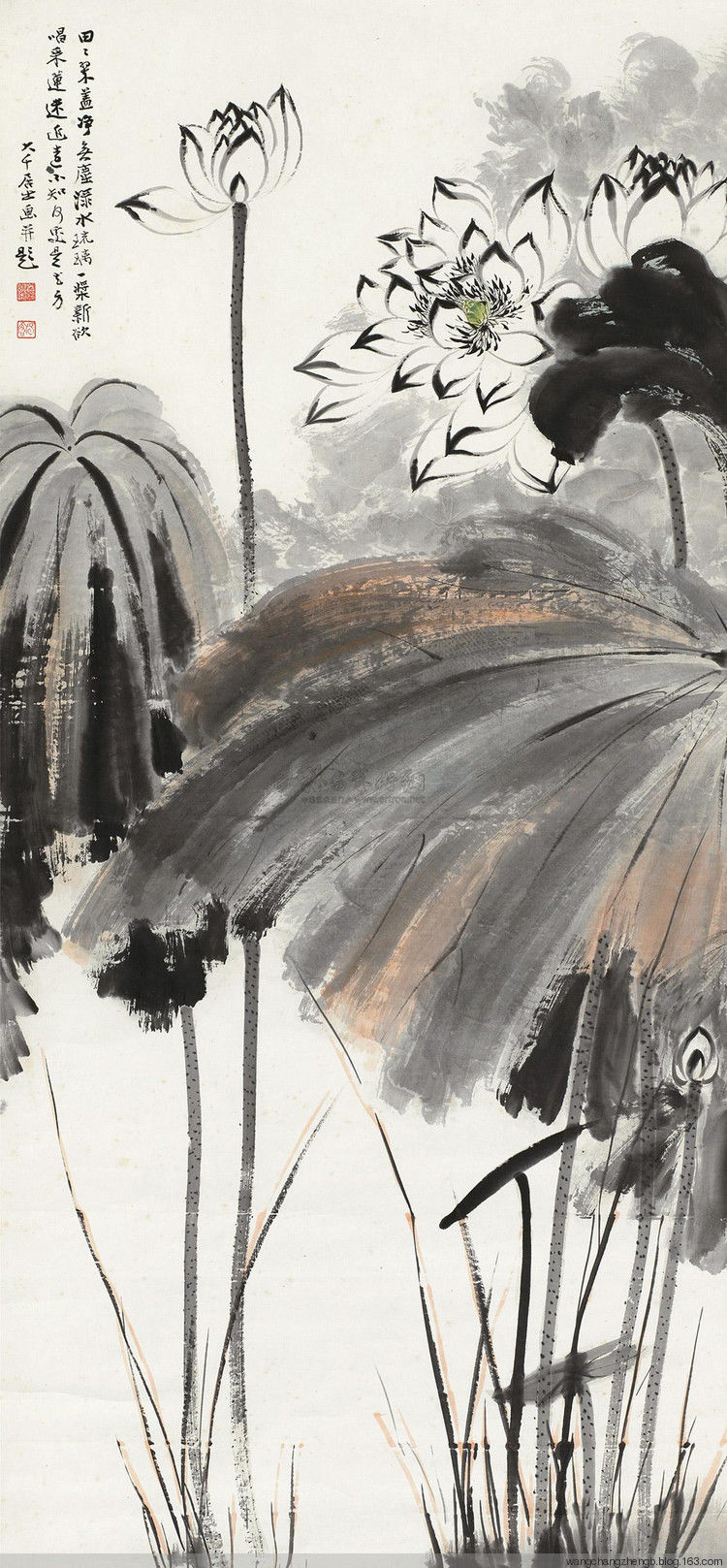 张大千 荷花作品欣赏 - wangchangzhengb - wangchangzhengb的博客