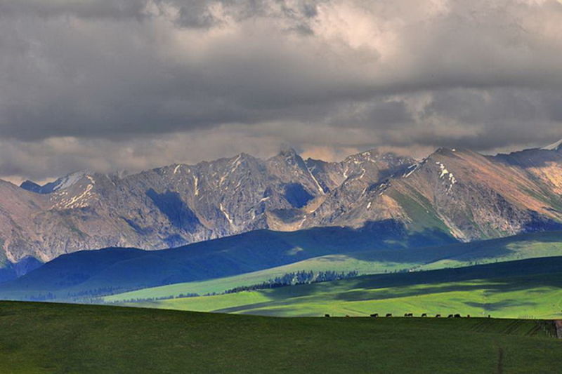 FJ073新疆美丽的高山牧场【26】 - PPT园地 - 永平的博客