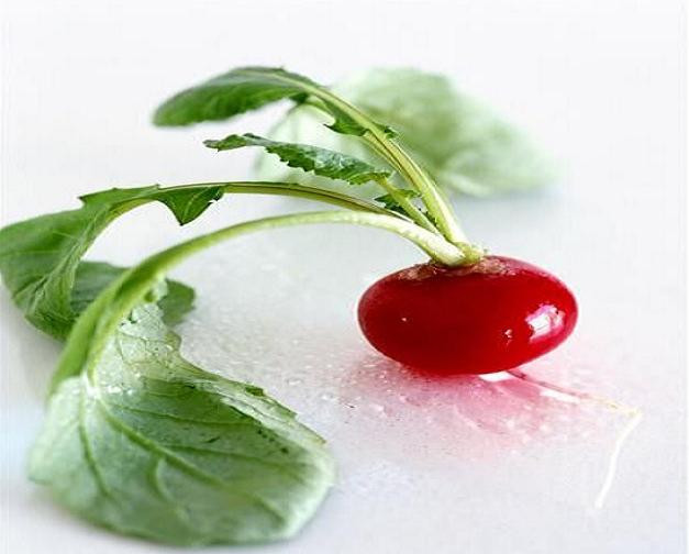 16个降血糖能手食品 - 空谷幽兰 - 空谷幽兰憩居