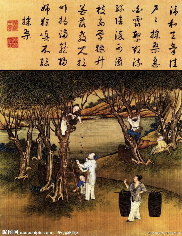 雍正像耕織圖册 - lyaxman - lyaxman的博客