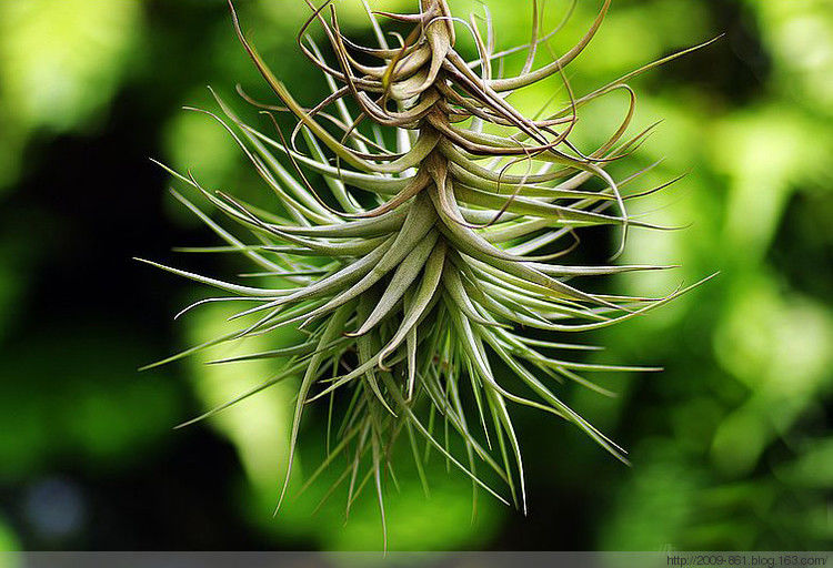 两性人体知识大全！不可不知... - 宝贝梦 - 分享美丽.分享快乐.品味人生