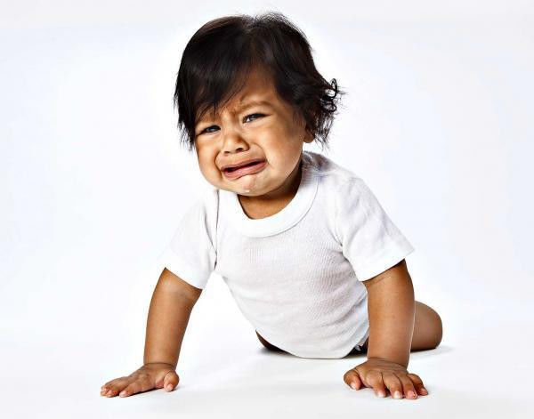 太可爱了！好想捏捏他们的脸！ - 社会糗事大百科 - 社会糗事大百科