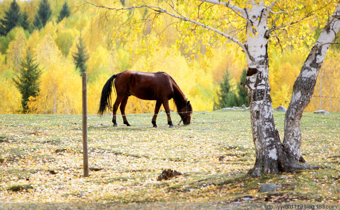 神秘的图瓦人 - 永荣视界 - 永荣视界