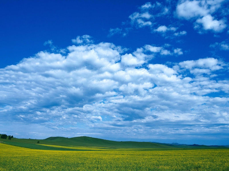 蓝天白云草原 - 雁飞墨行 - 精品博客