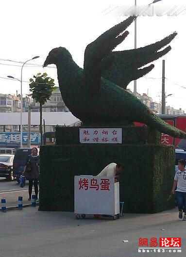 世界上牛人真多，真比不了！ - 台湾白酒88坑道 - 论樽酒行--台湾名酒